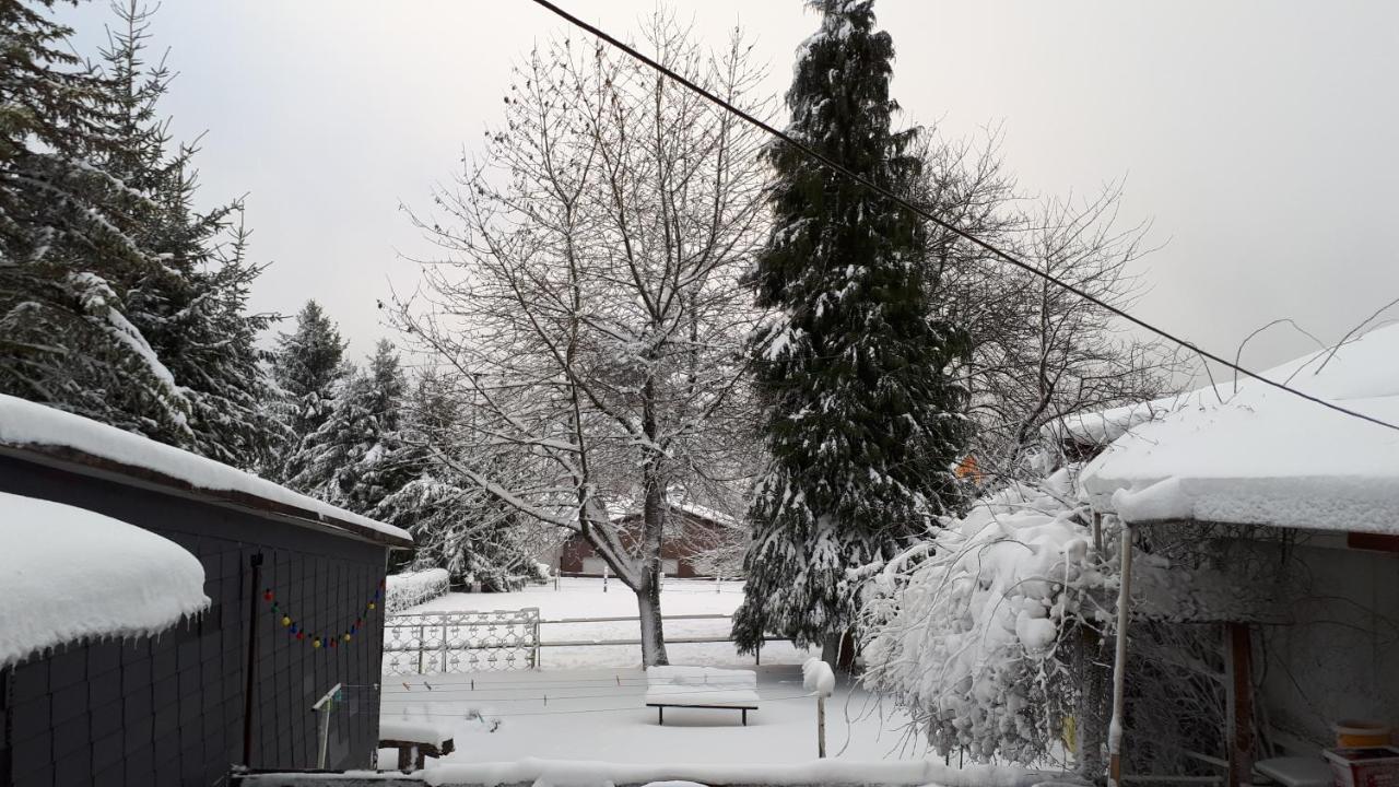 Ferienwohnungen! Kleine Bungalows Mit Terrasse! Stockhausen-Illfurth Exterior foto